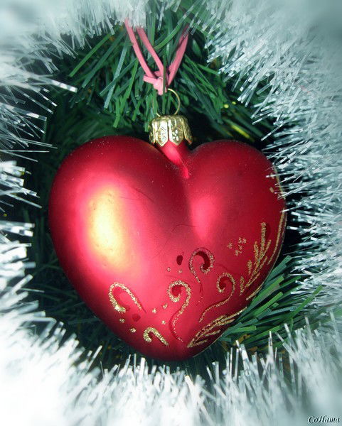 Марина Кыштымова