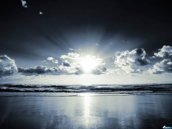 Андрей Ершов