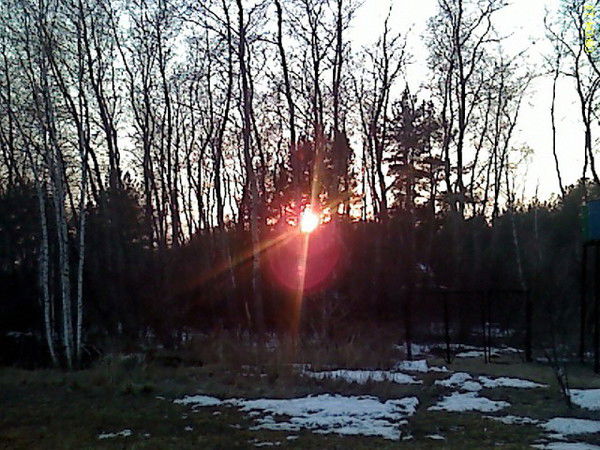 Сергей Солодченко