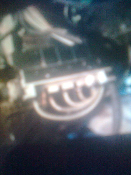 Славк Гаврилець