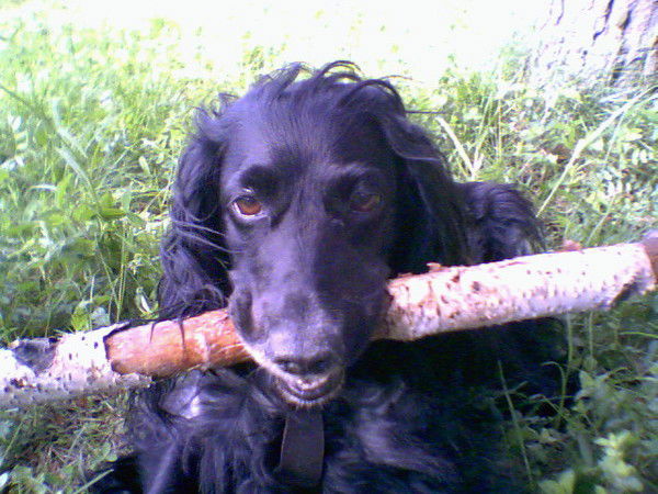 Сергей Телков