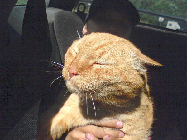 Сергей Ершов