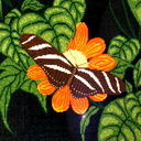 Аленка Горбунова