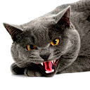 Пяткевич Денис