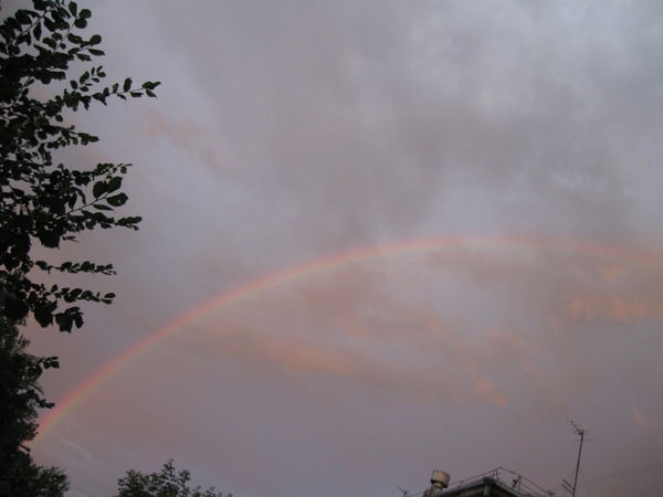 Наталья Мещерякова