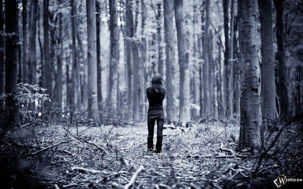 Анна Новикова