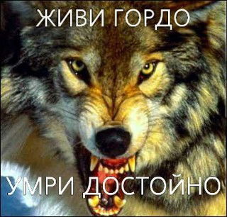 Дамир Таиров