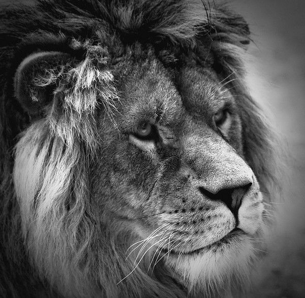 Калюжная Дашулька