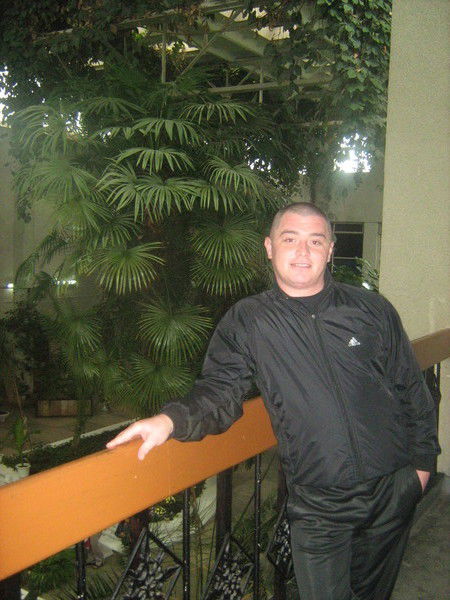 Димон Кокшаров