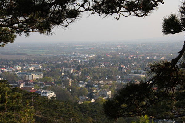 Сергей Свирков