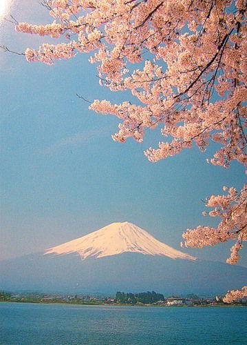 Павел Матвиенко