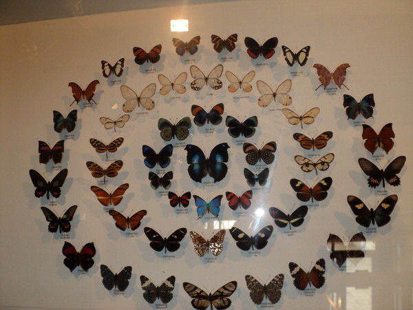 Марина Лиманская