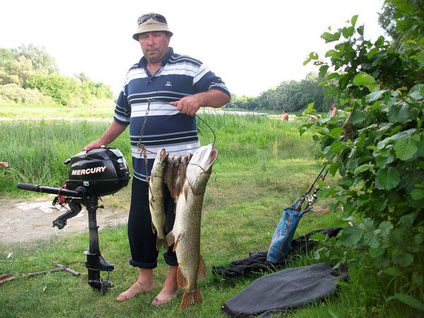 Николай Бирюков