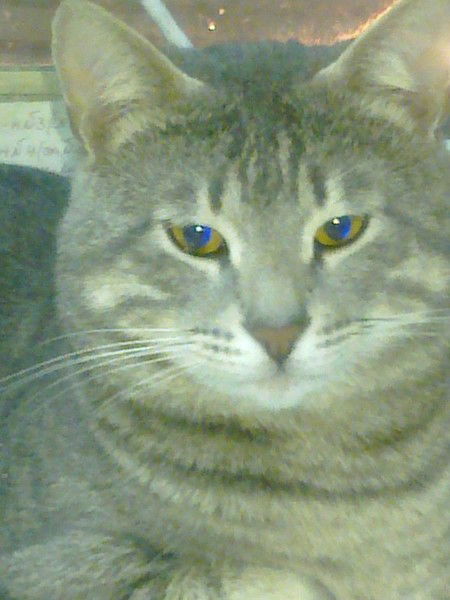 Николай Великий