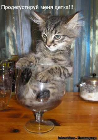 Александр Шведов