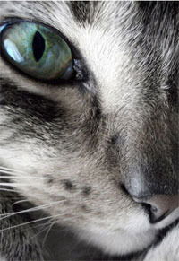 Татьяна Смольянинова