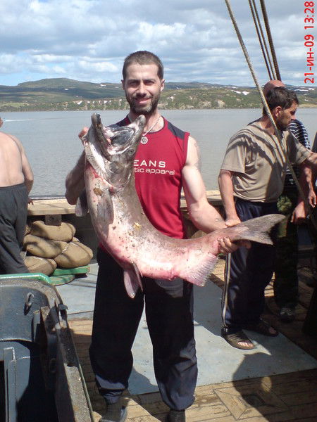 Андрей Петрунин