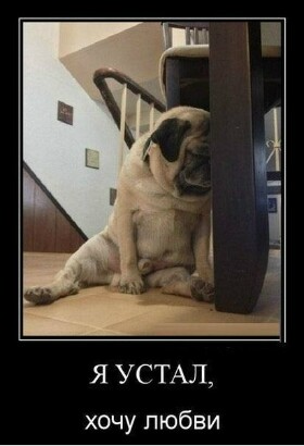 Игорь Селивёрстов