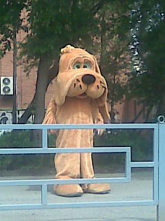 Евгений Красных