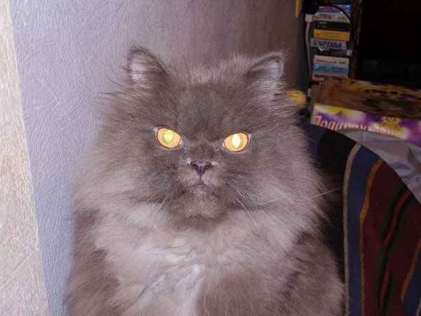 Серёга Котов