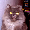 Серёга Котов
