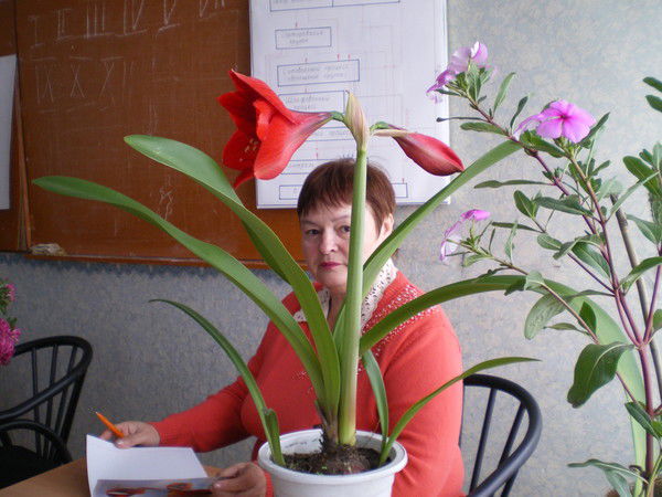 Татьяна Клыкова