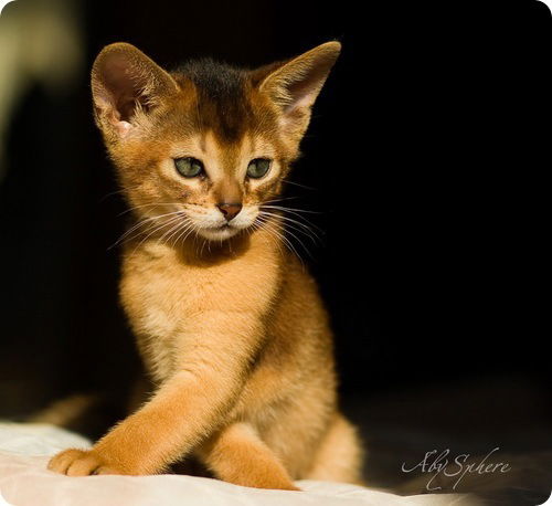 Саша Солнечная