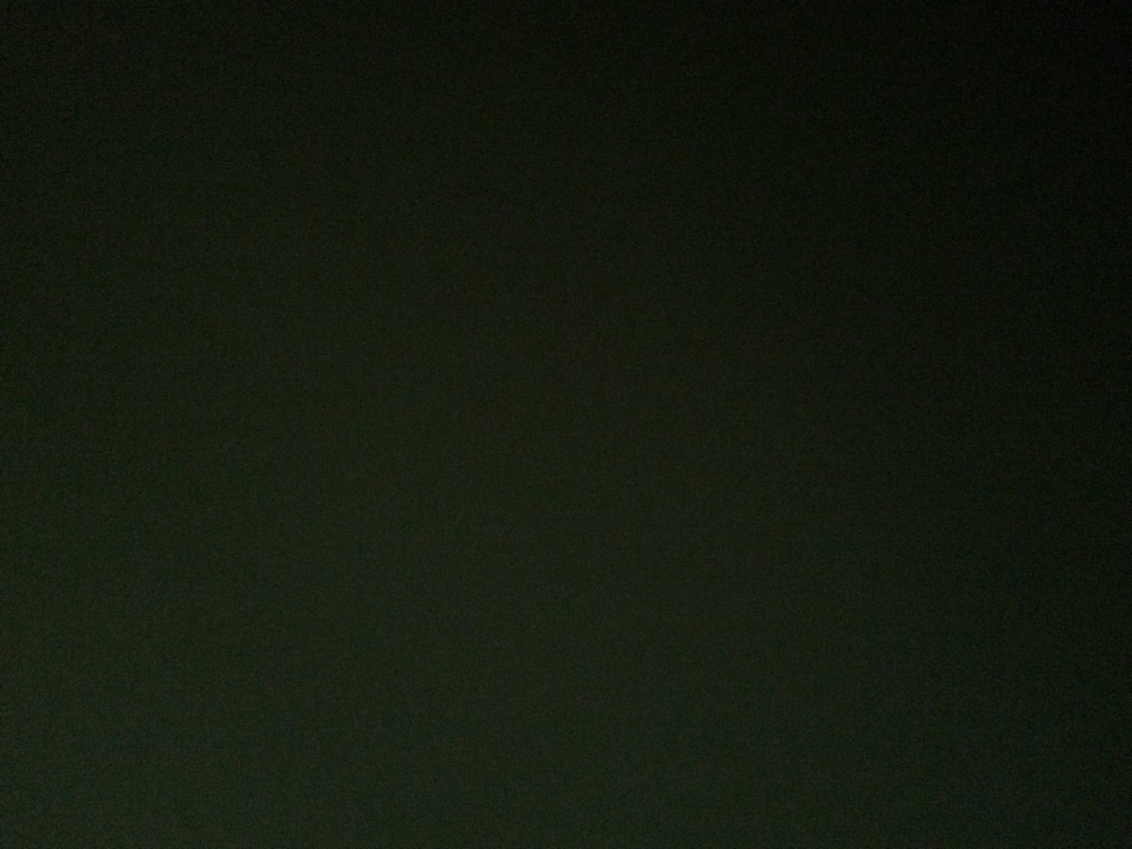 Ника Докучаева