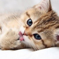 Ева Меньшикова