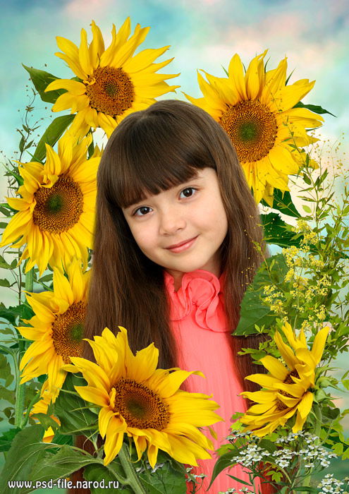 Севда Сары-Заде