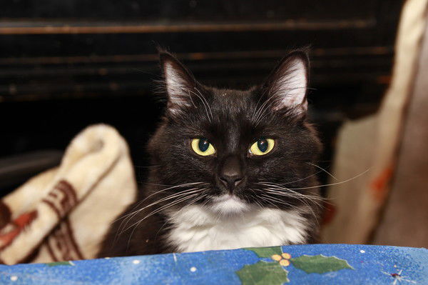 Нечто Нечто