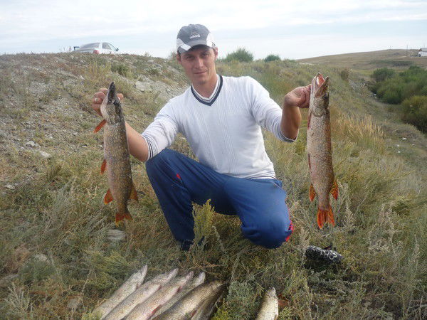 Андрей Свириденко