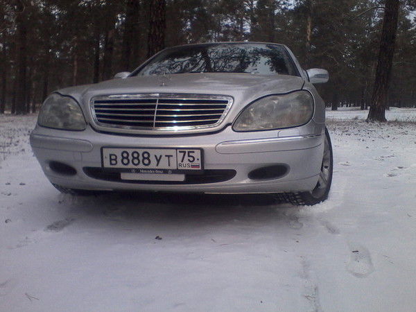 Михаил Скажутин