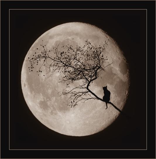 Татьяна Меньшикова