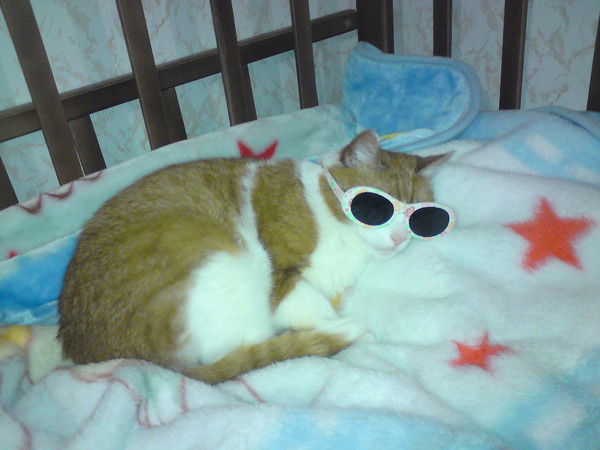 Татьяна Герасимова