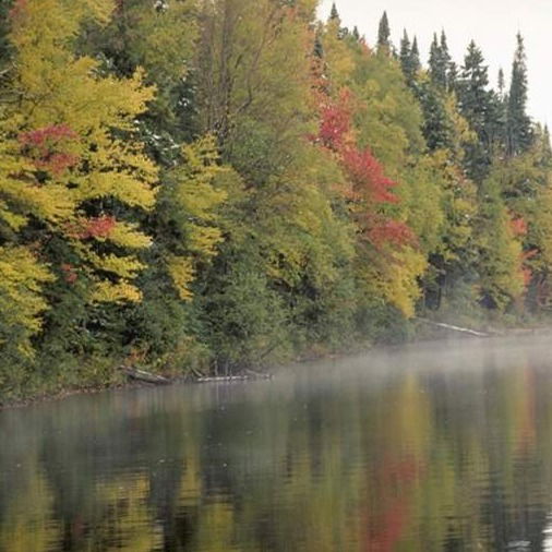 Филиал Староартинский Сдк