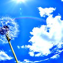 Олег Васильев