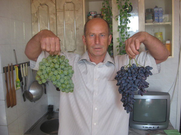 Михаил Коленда