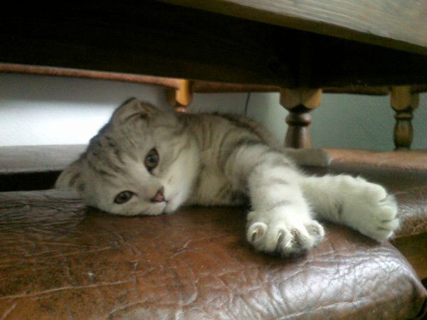 Марина Душечкина