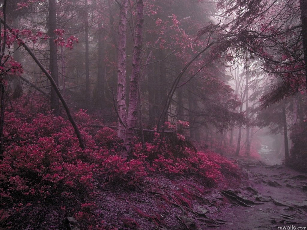 Женя Гайдук