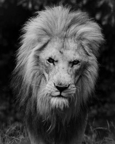 Яна Савкова