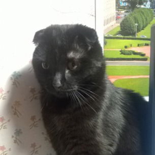 Сергей Углов