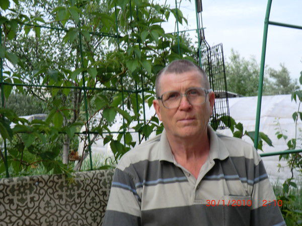 Николай Брыков