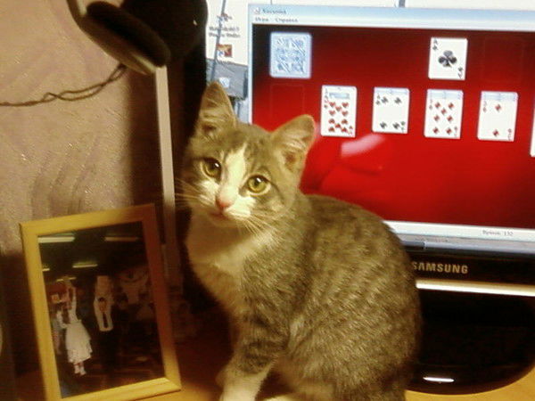 Наталья Ларионова