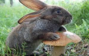 Эрик Коянбаев