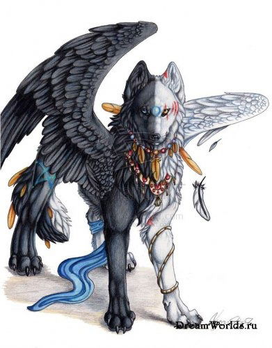 Тоха Мокрый