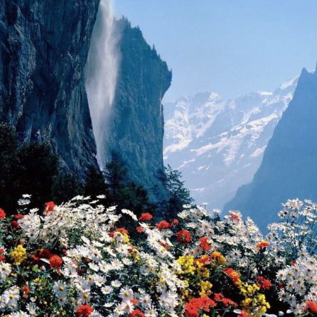 Наталья Ермакова