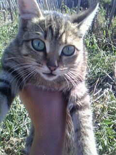 Наталья Копальчева