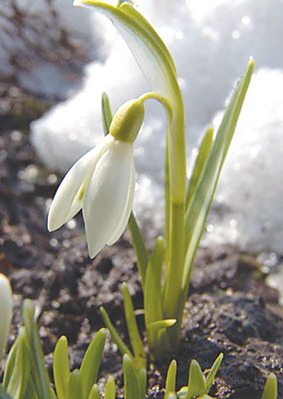 Саблукова Людмила