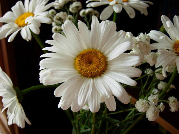 Наталья Тураева